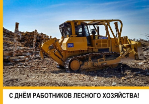 С Днём работников леса!